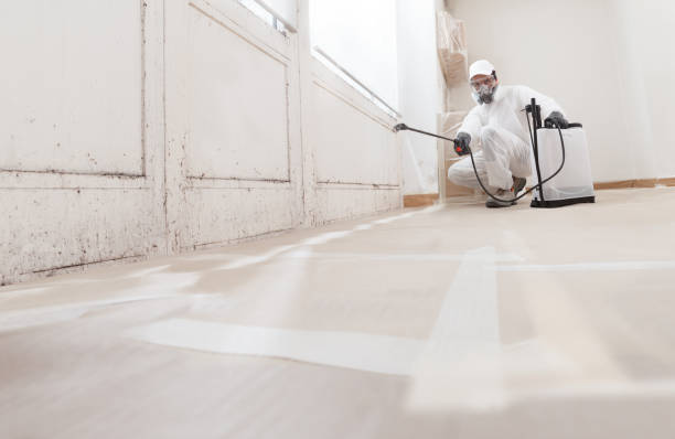 24/7 Emergency Black Mold Removal experts in Belmar, NJ