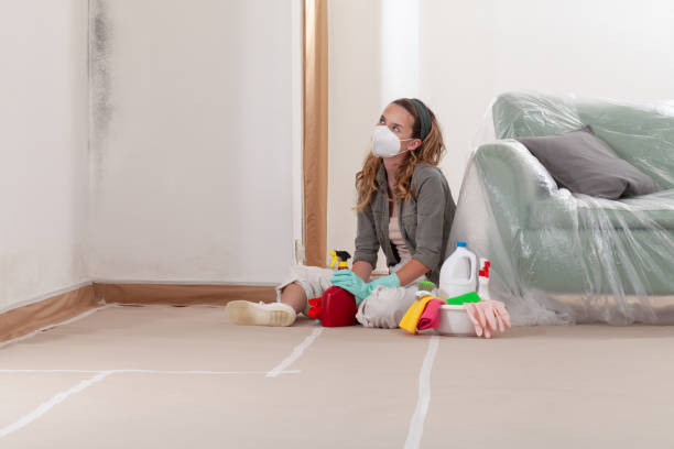 Trusted Black Mold Removal service in Belmar, NJ - WQB Mold Removal